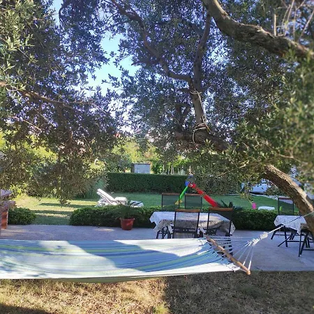 In Insel Rab 17562 *